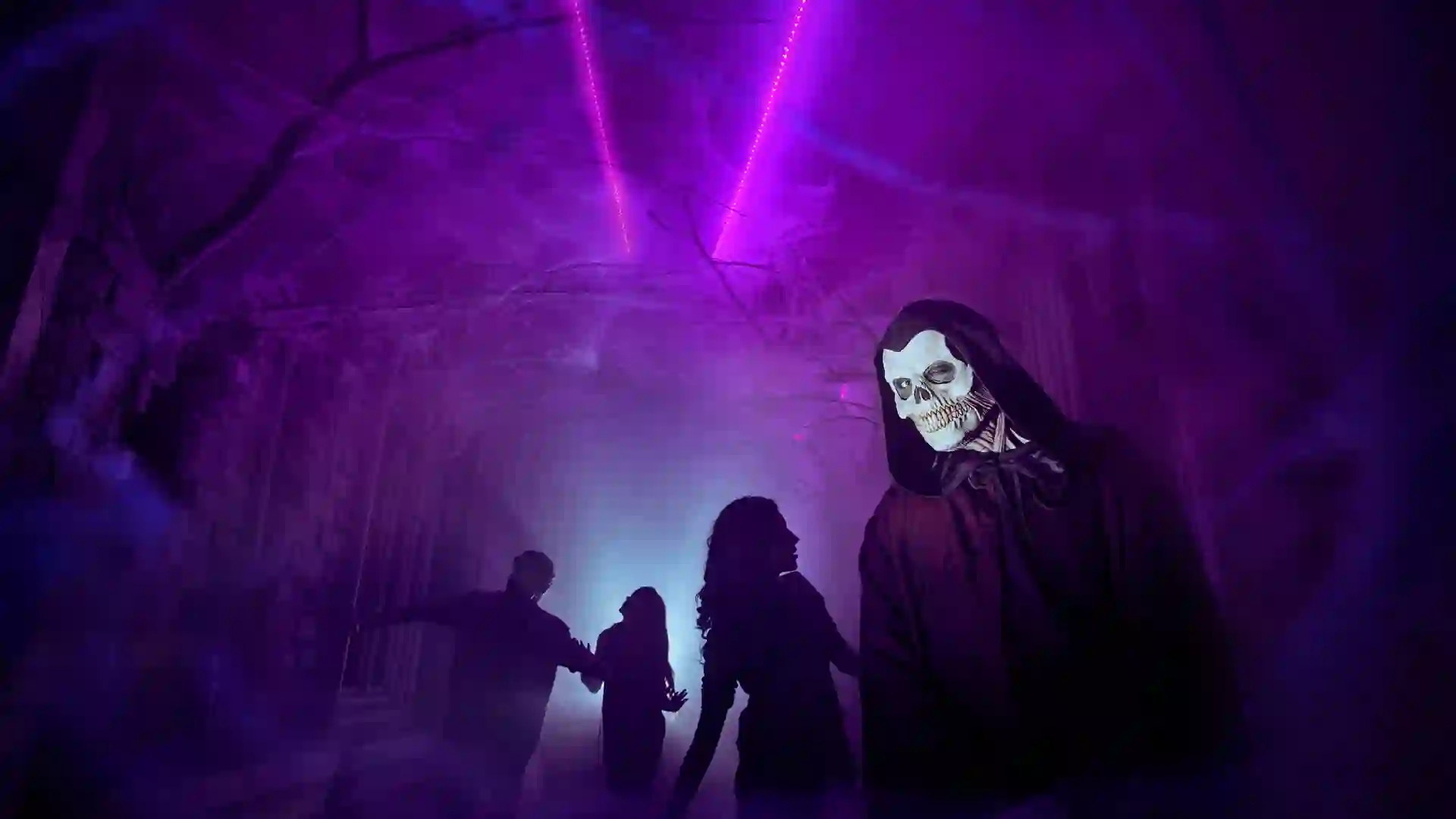 Chariot3-2x2-1-scaled